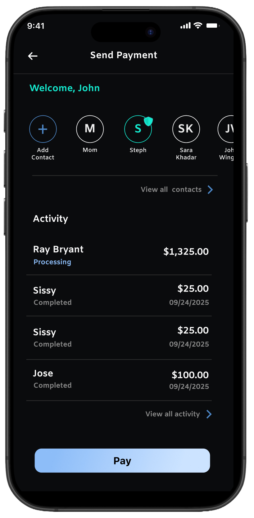 Remint Payment Interface - User Send Screen